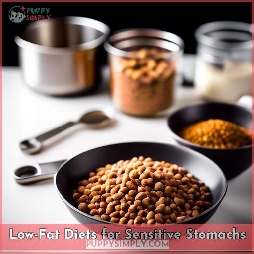 Low-Fat Diets for Sensitive Stomachs