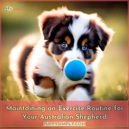 Maintaining an Exercise Routine for Your Australian Shepherd