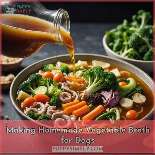 Making Homemade Vegetable Broth for Dogs