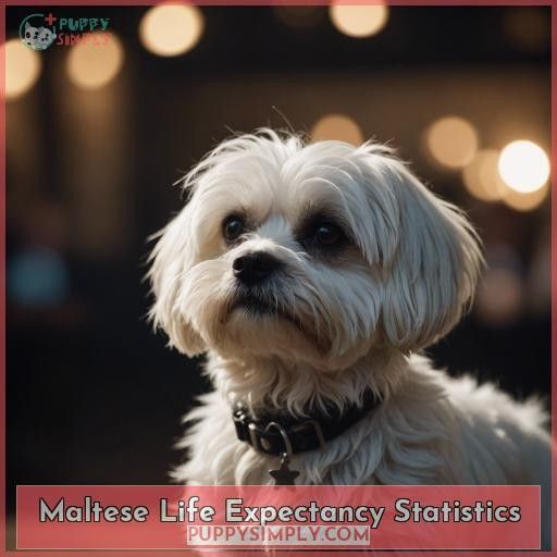 Maltese Life Expectancy Statistics