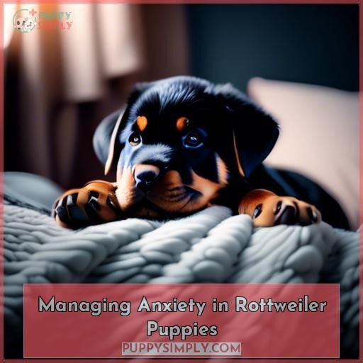 Managing Anxiety in Rottweiler Puppies