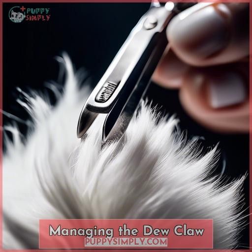 Managing the Dew Claw