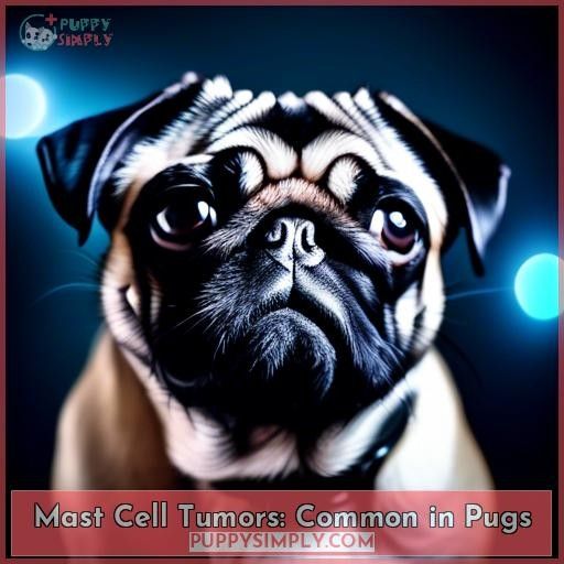 Mast Cell Tumors: Common in Pugs