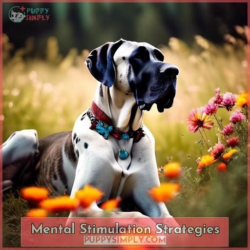 Mental Stimulation Strategies