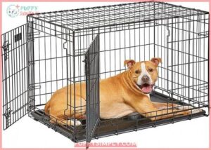 MidWest Homes for Pets Dog