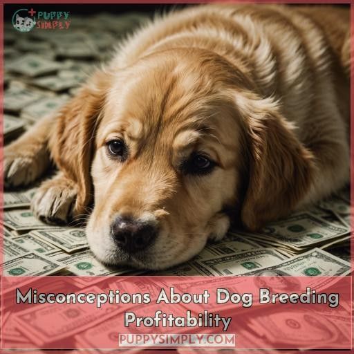 Misconceptions About Dog Breeding Profitability
