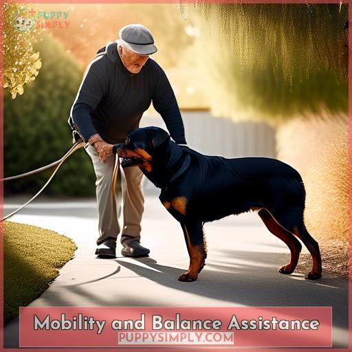 Mobility and Balance Assistance