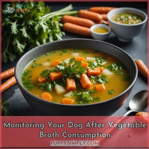 Monitoring Your Dog After Vegetable Broth Consumption