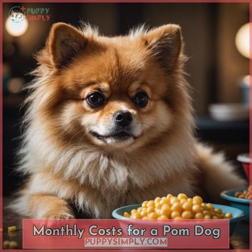 Monthly Costs for a Pom Dog