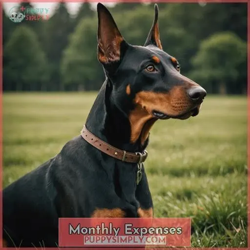 Monthly Expenses