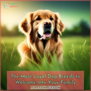 most loyal dog breeds