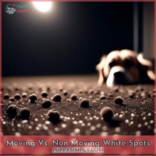 Moving Vs. Non-Moving White Spots
