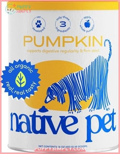 Native Pet Organic Pumpkin Fiber
