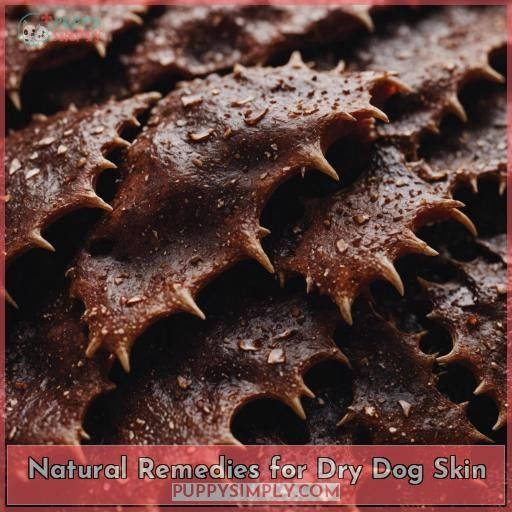 Natural Remedies for Dry Dog Skin