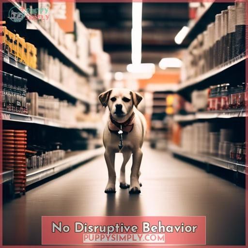 No Disruptive Behavior