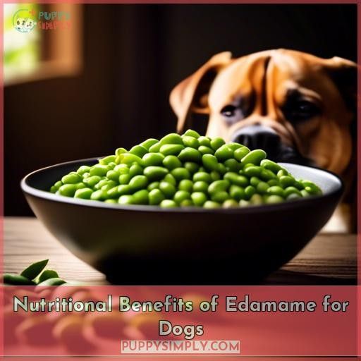Nutritional Benefits of Edamame for Dogs