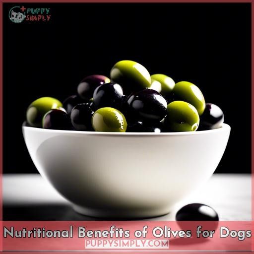 Nutritional Benefits of Olives for Dogs