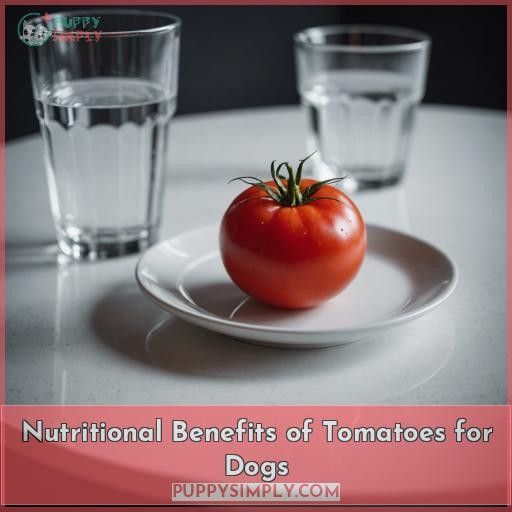 Nutritional Benefits of Tomatoes for Dogs