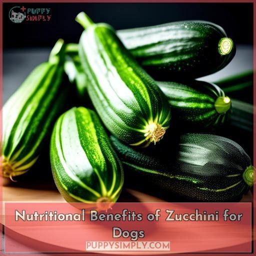 Nutritional Benefits of Zucchini for Dogs