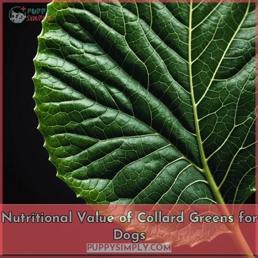 Nutritional Value of Collard Greens for Dogs