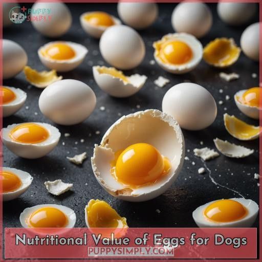 Nutritional Value of Eggs for Dogs