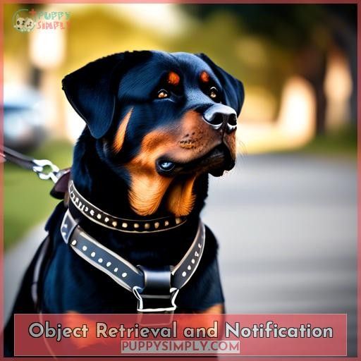 Object Retrieval and Notification
