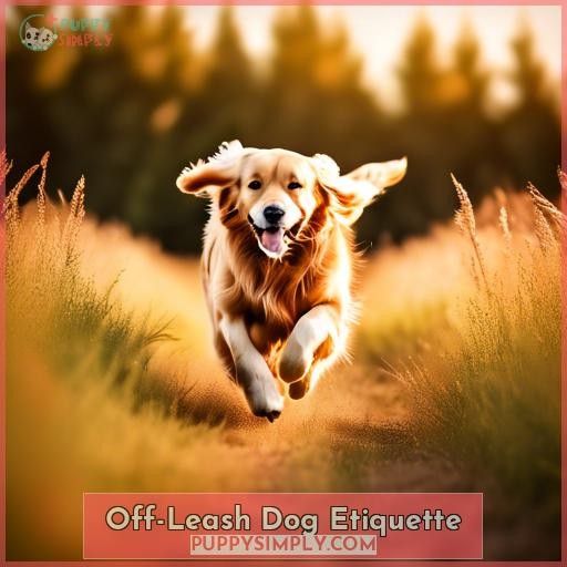 Off-Leash Dog Etiquette