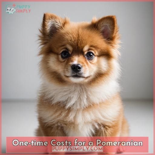 One-time Costs for a Pomeranian