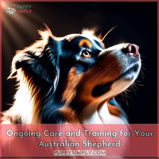 Ongoing Care and Training for Your Australian Shepherd