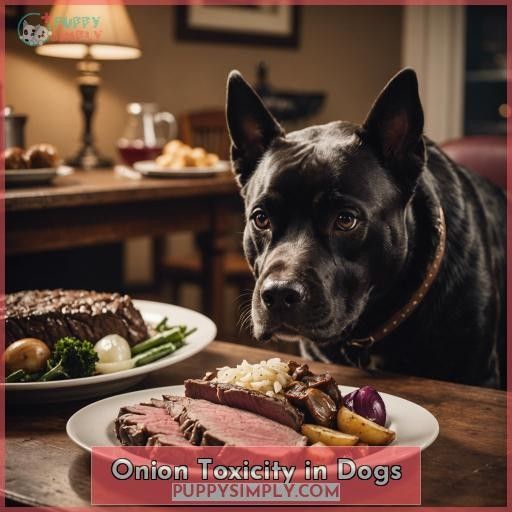 Onion Toxicity in Dogs