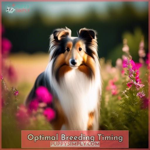 Optimal Breeding Timing