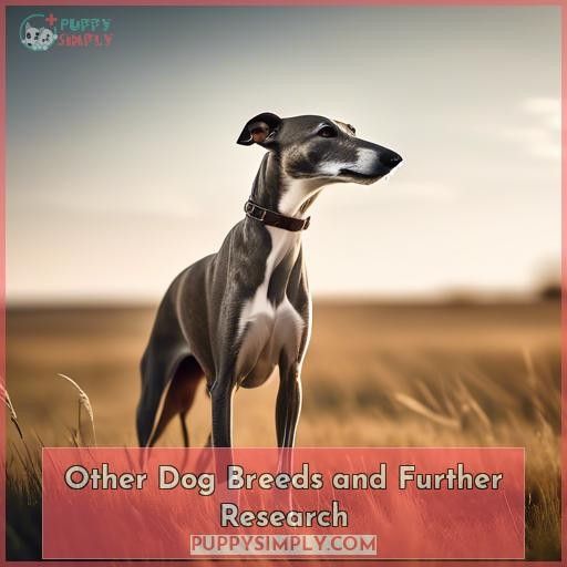 Other Dog Breeds and Further Research