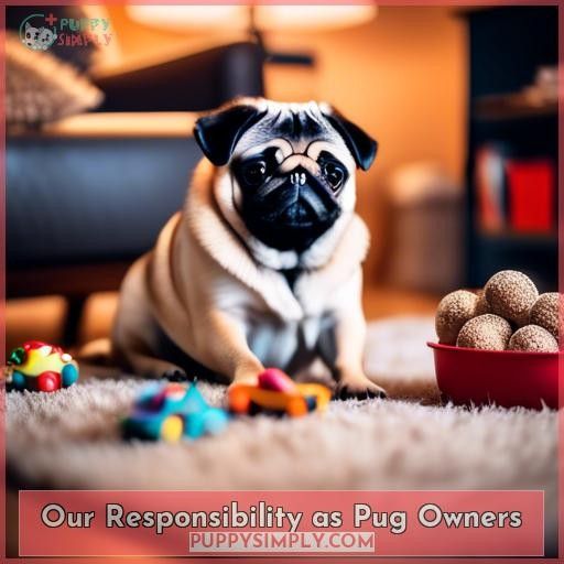 Our Responsibility as Pug Owners