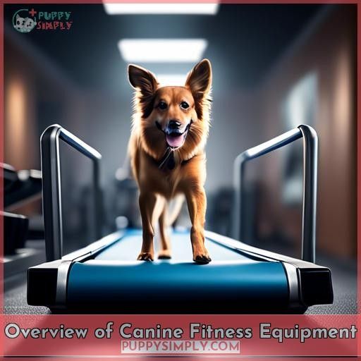 Overview of Canine Fitness Equipment