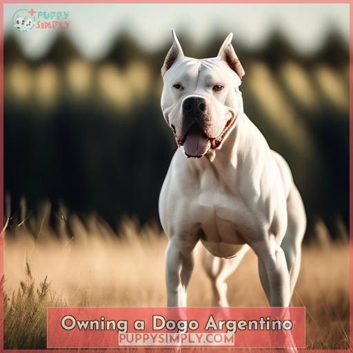 Owning a Dogo Argentino