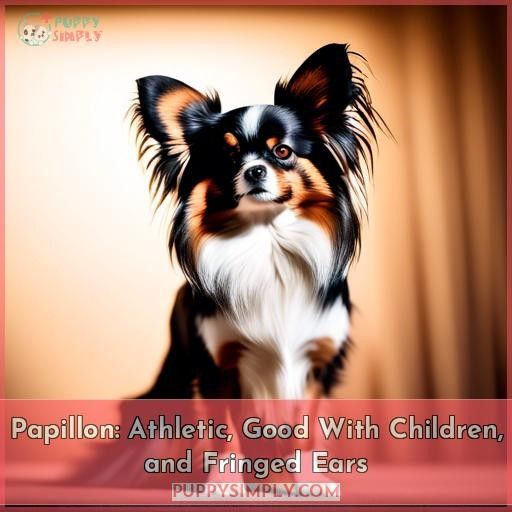 Papillon: Athletic, Good With Children, and Fringed Ears