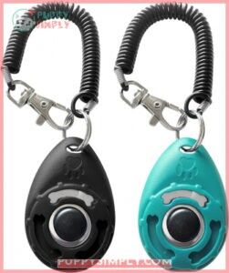 Pet Training Clicker with Wrist B07F6FTTM7