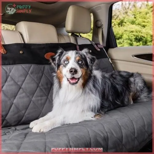 PetSafe Happy Ride Quilted Bench