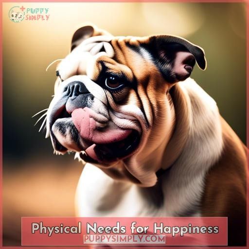 Physical Needs for Happiness