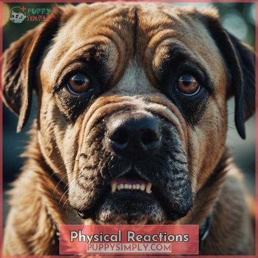 Physical Reactions