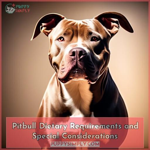 Pitbull Dietary Requirements and Special Considerations