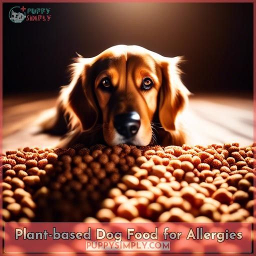 Plant-based Dog Food for Allergies