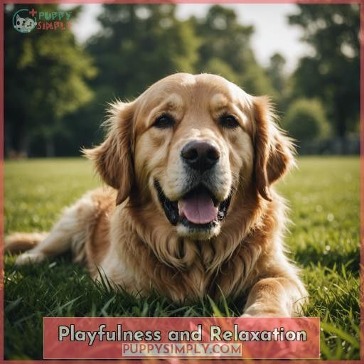 Playfulness and Relaxation