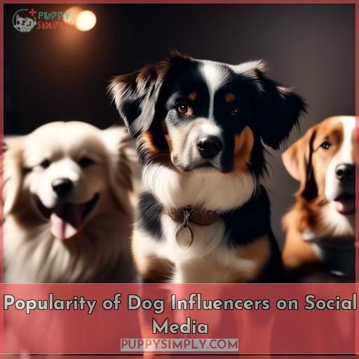 Popularity of Dog Influencers on Social Media
