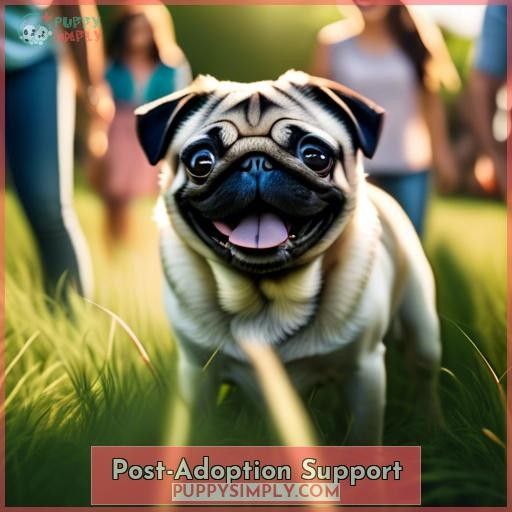 Post-Adoption Support