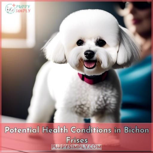 Potential Health Conditions in Bichon Frises