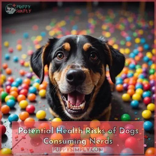 Potential Health Risks of Dogs Consuming Nerds