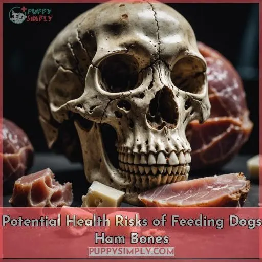 Potential Health Risks of Feeding Dogs Ham Bones