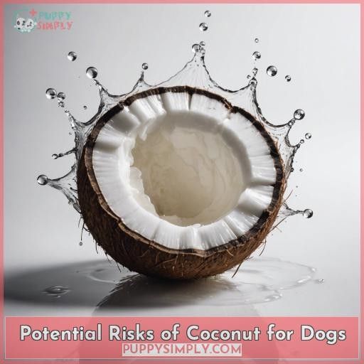 Potential Risks of Coconut for Dogs