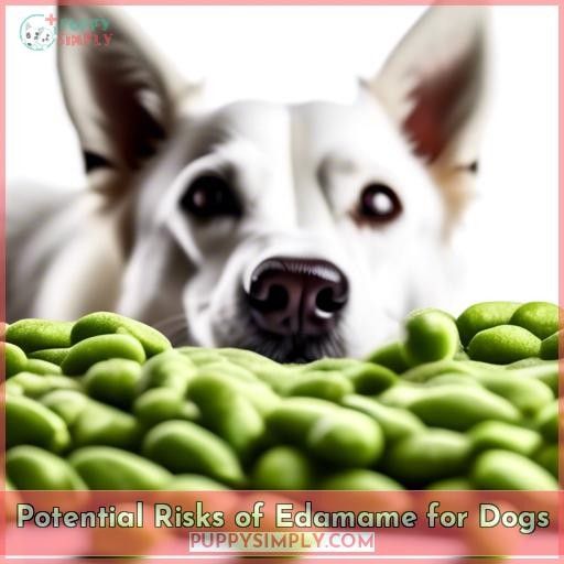 Potential Risks of Edamame for Dogs